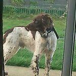 L'r Gourmand