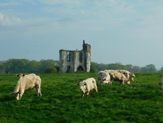 Ruines de l'Abbaye Notre Dame de Clairmarais