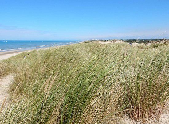 Dune du Perroquet