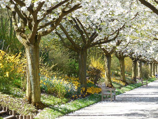 jardins de Valloires