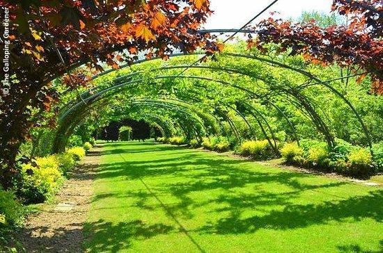 Les Jardins de Séricourt