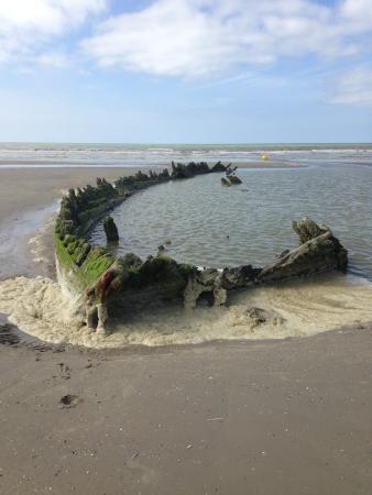 réserve naturelle de la Dune Marchand