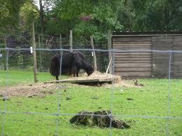 ferme Souchinet