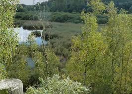 parc naturel régional Scarpe-Escaut