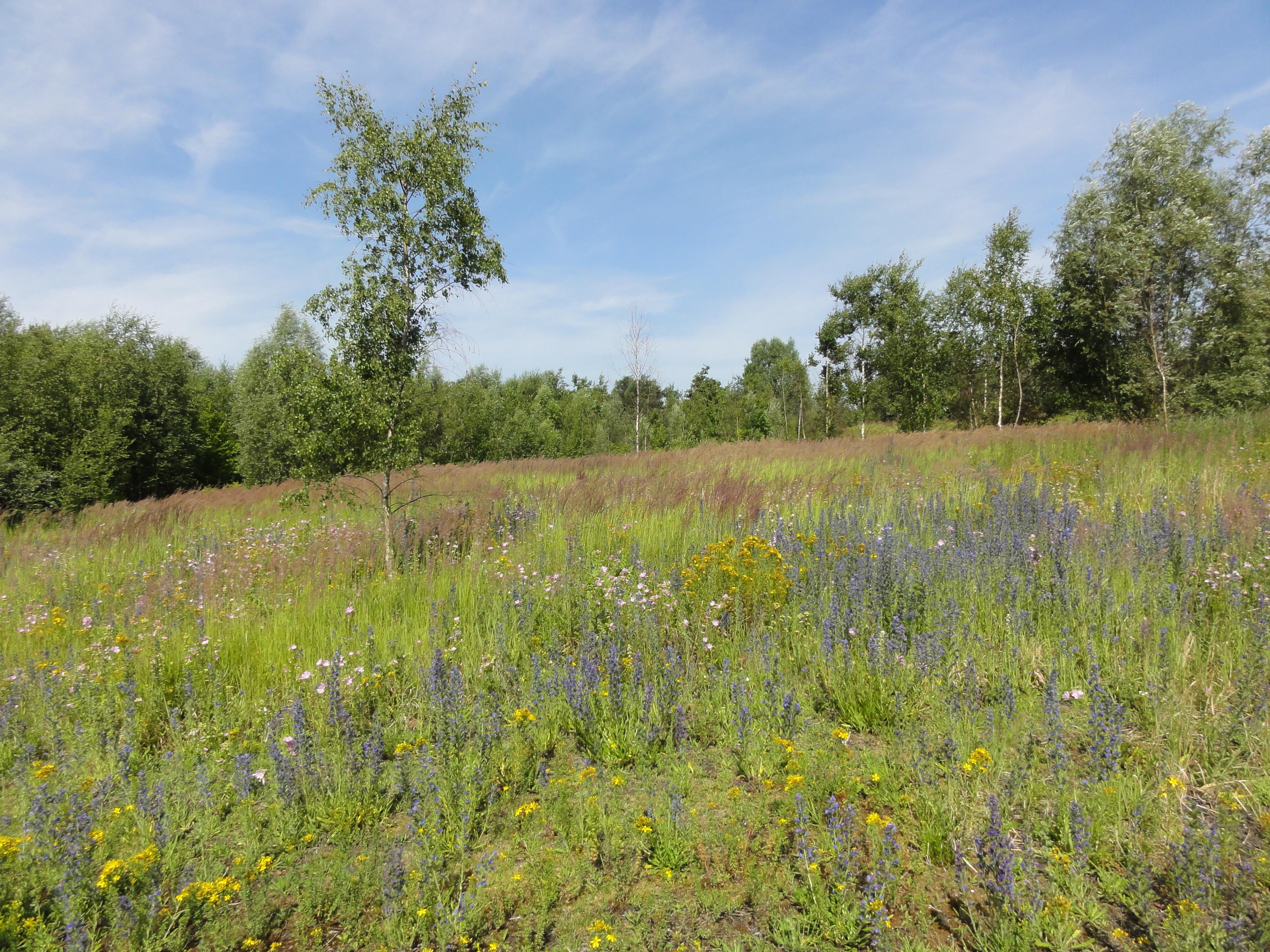 la réserve naturelle régionale des Annelles