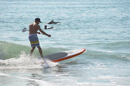 Maloha Surfshop