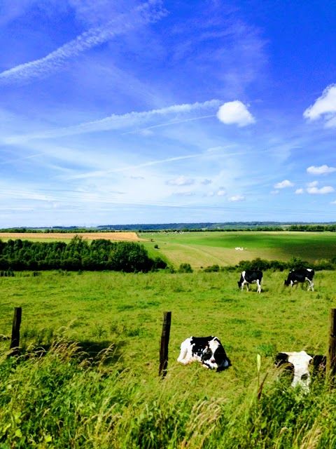 Parc Naturel Régional des Caps et Marais d'Opale