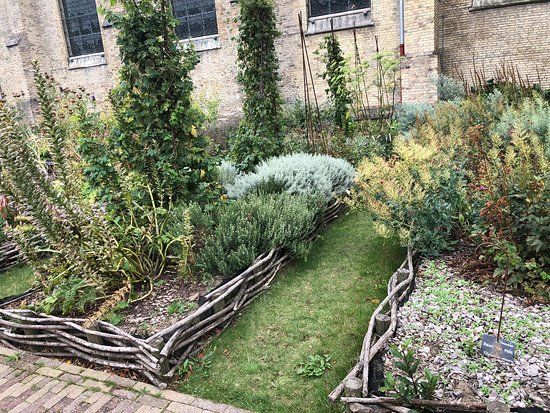 Jardin Tudor