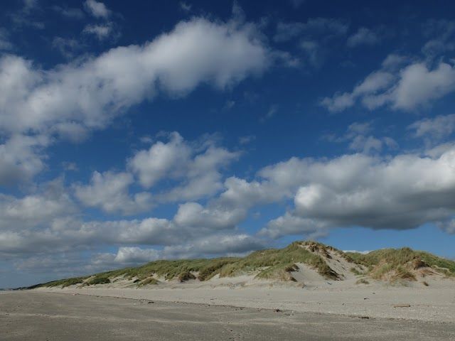 le sentier d'accès à la mer du Marquenterre
